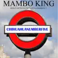 Mambo N. 5