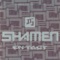 Make It Mine - The Shamen lyrics