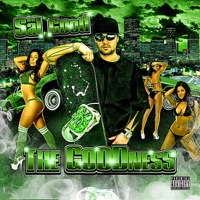 The Goodness - Sal Good