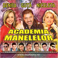 Mi-E Dor de Tine (I Miss You) — Vali Vijelie