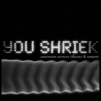 You Shriek - No Heroes