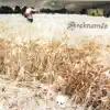Areknamés - Wasted Time