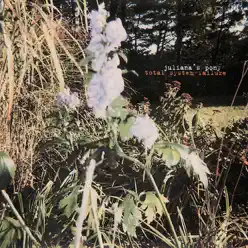 Juliana's Pony: Total System Failure - Juliana Hatfield Juliana's Pony: Total System Failure - Juliana Hatfield