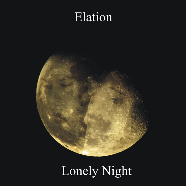 Lonely Night