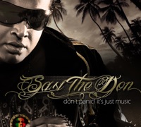 Don't Panic It's Just Music - Sasi The Don