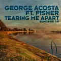 Tearing Me Apart (Club Radio Edit) (Feat. Fisher)