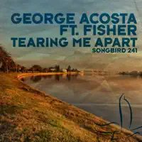 Tearing Me Apart (Club Radio Edit) [feat. Fisher] — George Acosta