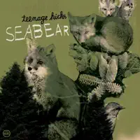 Teenage Kicks — Seabear