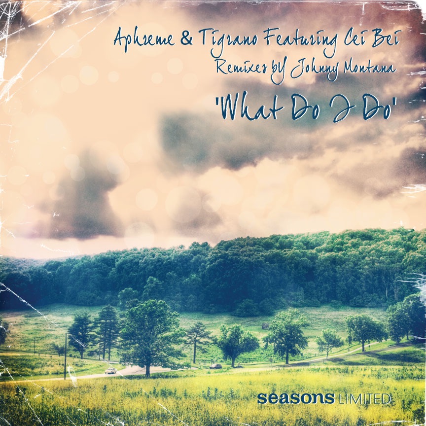 Обложка альбома «What Do I Do (feat. Cei Bei)» — Aphreme