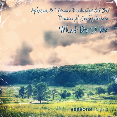 What Do I Do (feat. Cei Bei)