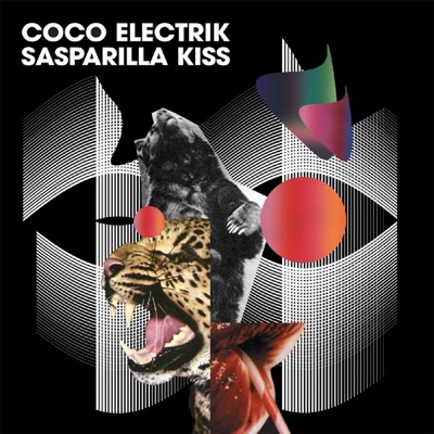 Sasparilla Kiss (Mickey Moonlight Remix) - Single