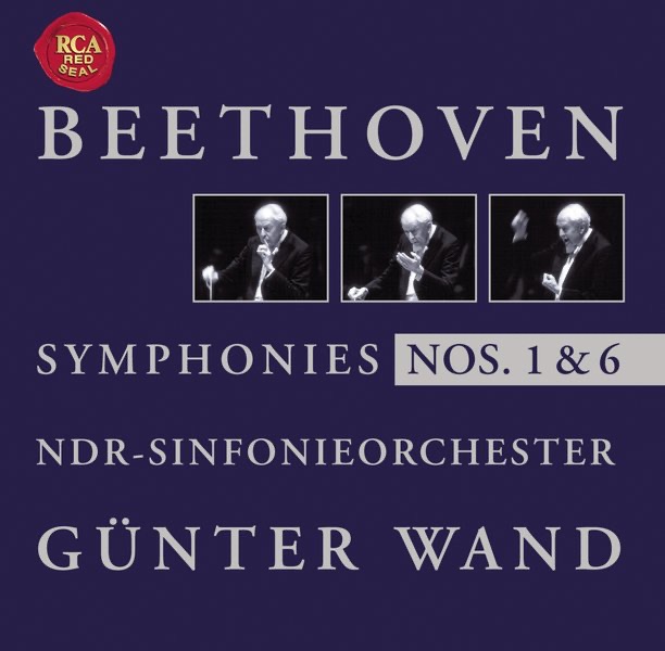 Symphony No. 1 in C major, Op. 21: Menuetto: Allegro molto e vivace (Remastered - 2001)
