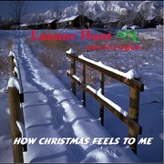 Christmas Without You - Luanne Hunt