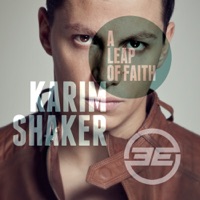 Karim Shaker - A Leap of Faith (Synthetic Remix)