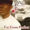 Far from Perfect (feat. Erica Ambrin) - PAC the Beast lyrics