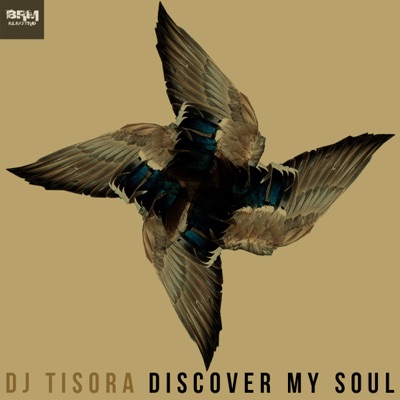 Discover My Soul (Remixes) - EP
