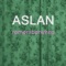 Aslan - Remember White lyrics