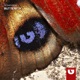 Butterfly Single