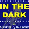 Master Q Karaoke - In The Dark (Originally By Dev Feat.Flo Rida)