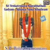 Sri Venkateswara Suprabhatham (S.P.B.) artwork