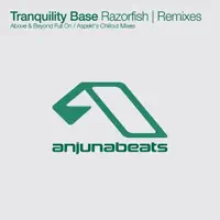 Razorfish — Tranquility Base