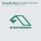 Razorfish - Tranquility Base lyrics