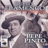 Culto Flamenco: Guitarra de Melchor de Marchena y Nino Ricardo