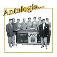 Marimba Cuquita de los Hermanos Narvaez - El Cha Cha Cha de los Borrachitos