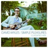 David Myles - Simple Pleasures