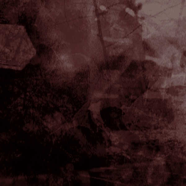 Auditory Illusions artwork