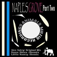 Naples Groove, Pt. 2 - Single - Alex Satry