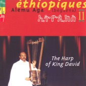 Éthiopiques, Vol. 11: Alèmu Aga (Bèguèna) artwork