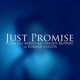 Just Promise feat Freddy Ruppert of Former Ghosts Single