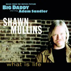 What Is Life (Music from the Motion Picture "Big Daddy") - EP - Shawn Mullins
