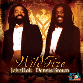 Wild Fire (1985 Vinyl 12