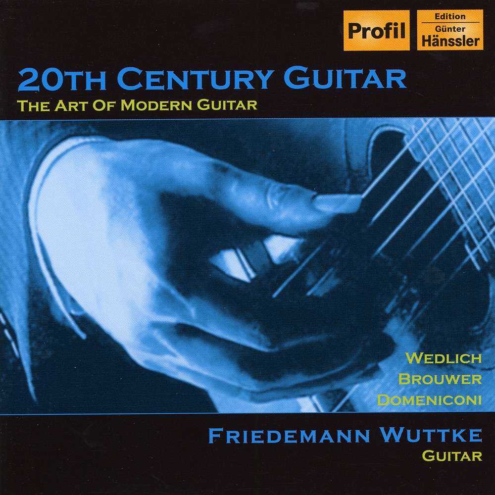 Обложка альбома «Brouwer: Guitar Concerto, "Elegiaco" - Wedlich: Guitar Sonata - Domeniconi: Koyunbaba (20th Century Guitar)» — Igor Zhukov & New Moscow Chamber Orchestra