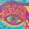 Dr. Doom - 13th Floor Elevators lyrics