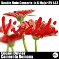 Concerto for 2 Flutes in C Major, RV 533: II. Largo