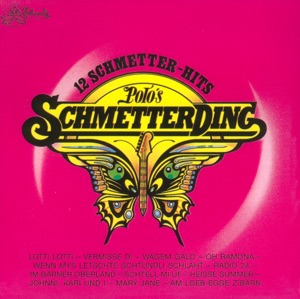 12 Schmetter-Hits