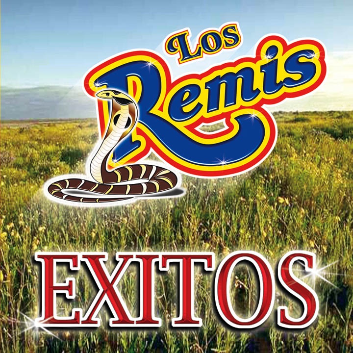 Exitos Los Remis