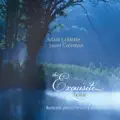 Andante, From Concerto In A Minor