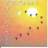 Tra rondini... e stelle