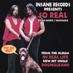 Dogwalkaho
