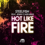 Hot Like Fire