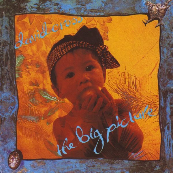 Обложка альбома «The Big Picture» — David Cross