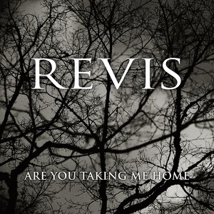 Are You Taking Me Home - Single