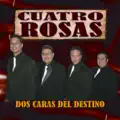 prisionero de amor