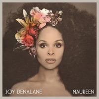 Nie wieder, nie mehr (feat. Julian Williams) - Single - Joy Denalane