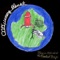 Strawberry Ice Cream & Beer - The Rocket Boys & Thomas Zahn lyrics