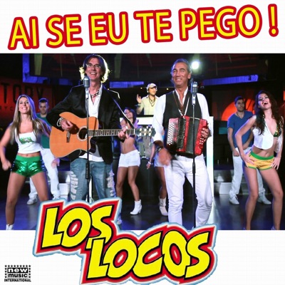 Ai Se Eu Te Pego - Single